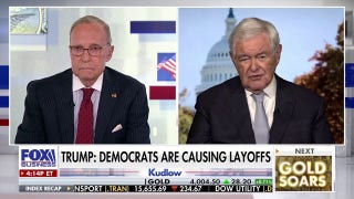 Newt Gingrich: The 'Schumer shutdown' has become a trap for Democrats