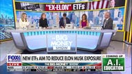 Wall Street launches 'Ex-Elon' ETFs for investors to avoid Musk's companies
