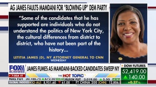 Democratic Party divide escalates over socialist primary wins in New York