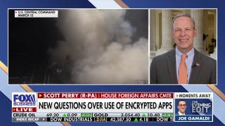 The Houthis' 'reign of terror' is 'at an end,' says Rep. Scott Perry