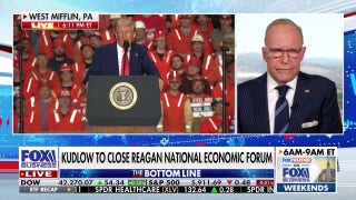 Larry Kudlow calls Trump’s ‘reciprocity idea’ with tariffs ‘first-rate’