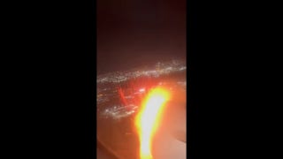 American Airlines plane suffers bird strike in NYC - Fox Business Video
