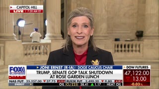 Sen. Ernst blames Schumer: ‘One man standing in the way of opening our government’