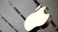 Apple starts with idea of satisfying the consumer: Discovery CEO