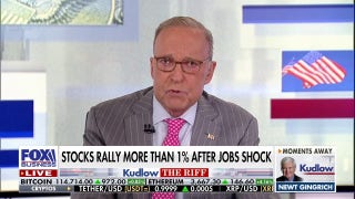 Larry Kudlow: Profits are the mother's milk of stocks and the lifeblood of the economy