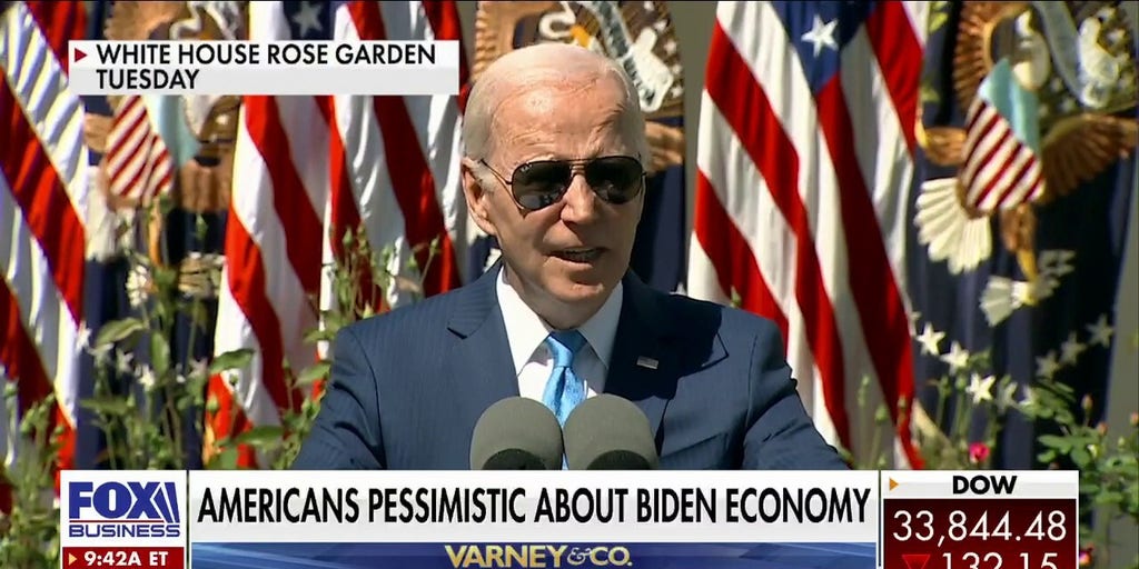 Democrats Will Support Biden Even If They Privately Have Doubts Doug Schoen Fox Business Video 4817