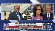 Trump-backed candidates win Republican primaries