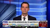 Sen. Tom Cotton: We never would’ve allowed this to happen during the Cold War