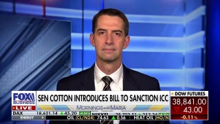 Sen. Tom Cotton: We never would’ve allowed this to happen during the Cold War - Fox Business Video