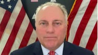 Steve Scalise: The left worships at the altar of government