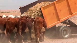 House passes interim funding bill, including farm aid lifeline  - Fox Business Video