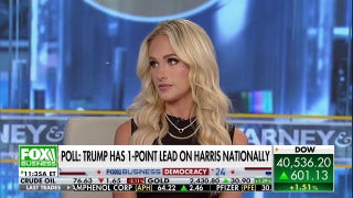 Democrats continue to be ‘coddled’ by the mainstream media: Tomi Lahren - Fox Business Video