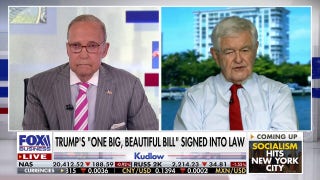 President Trump is on the verge of a huge long-term triumph, Newt Gingrich says