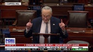 'All-time self owned': Chuck Schumer recognizes last four years 'kicked Americans in the teeth': Hogan Gidley