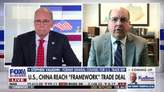 US should do what it can to end China's leverage on rare earth mining, trade expert says
