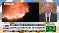 GOP rep slams California leadership over wildfires: 'Complete failure' at gubernatorial, mayoral level