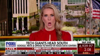 Texas rep on how the state will handle massive AI data center demand: ‘A lot of work’