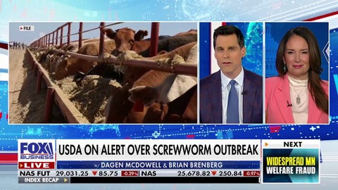Screwworm outbreak threat to US livestock, prompts USDA action - Fox Business News