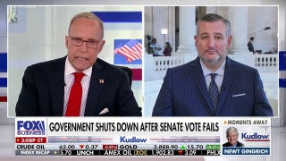 Comey’s defense solely consists of ‘orange man bad’: Sen. Ted Cruz