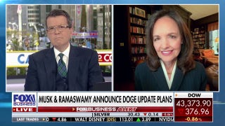 Department of Government Efficiency gearing up to slash spending - Fox Business Video