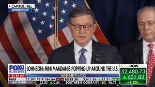 Mike Johnson warns Zohran Mamdani-style politics threaten America's future ahead of midterms