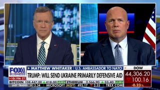 Trump is a 'peacemaker first,' US ambassador to NATO says