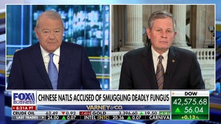 The Russians understand one thing and that's force: GOP senator