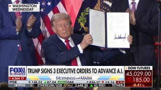 Trump's AI action plan is 'critical' for national security, congressman says