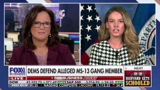 Homeland Security official calls 'activist' judges 'un-American,' aims to increase ICE arrests