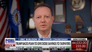 US is 'not in a situation' to dole out DOGE dividend checks, GOP lawmaker says