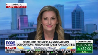 GOP rep praises DOGE’s ‘critical’ push to rein in wasteful government spending