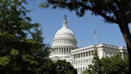 U.S. Senate votes to revive Export-Import Bank