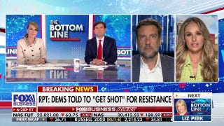 The Democratic Party has been 'completely captured' by the 'activist class,' says Tomi Lahren