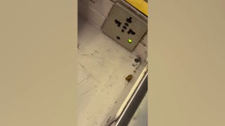Disgruntled Air India passenger exposes airline's filthy first-class cabin in viral video - Fox Business Video
