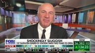 Kevin O'Leary: Bill to ban hedge funds from housing market is 'destructive'
