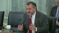 Cruz grills FAA leader, plays video animation of Austin airport close call: 'How can this happen?'
