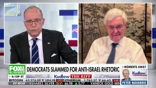This is a ‘very strange moment’ for the Democratic Party, Newt Gingrich says