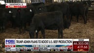 Trump administration aims to boost US beef production