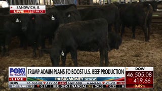 Trump administration aims to boost US beef production