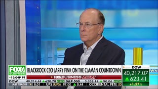 Amid a Friday rally, BlackRock CEO says the market could still go down another 20% - Fox Business Video
