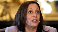 VP Harris ‘didn’t visit the actual border’: Former acting ICE director