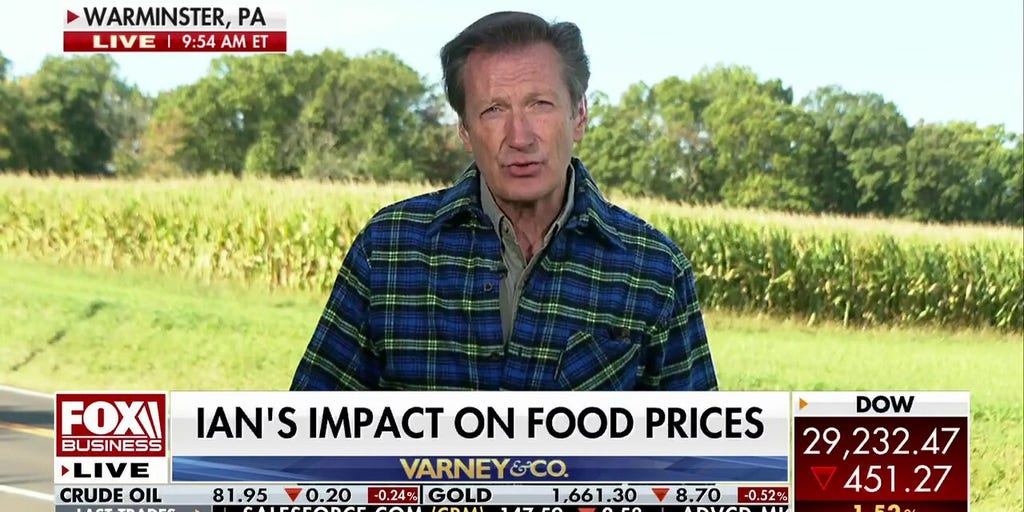 Hurricane Ian hitting Florida fertilizer plant could cause surge in