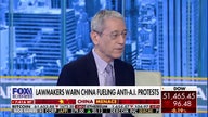 Gordon Chang on anti-AI protests: 'Not entirely organic'