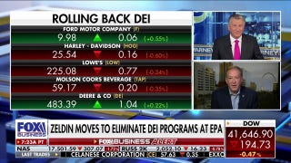 EPA cancels a total of $1.7B in DEI grants in partnership with DOGE