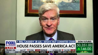 GOP rep launches probe into federal childcare fraud after Minnesota scandal