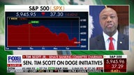 DOGE is returning spending power to the American people: Sen. Tim Scott