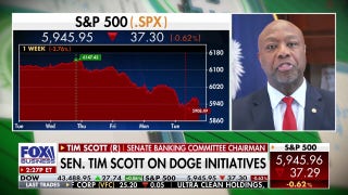 DOGE is returning spending power to the American people: Sen. Tim Scott