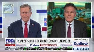 Democrats using 'political theater' to gain leverage with 'radical base': GOP lawmaker