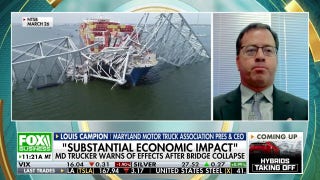 Baltimore is going to have to work hard to attract shippers back to our terminals: Louis Campion - Fox Business Video