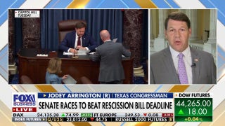 Trump is going to get $9B in 'woke and wasteful' spending rescinded, congressman says